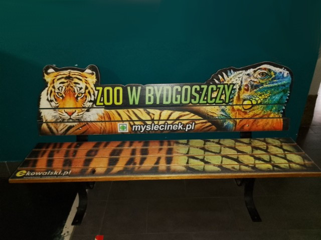 Zdjęcie: Wycieczka do Myślęcinka